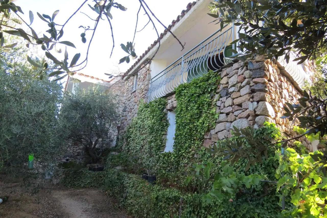 Casa In Campagna Hotel ดอร์กาลี ภายนอก รูปภาพ